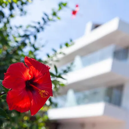 Jerez&spa Hotel